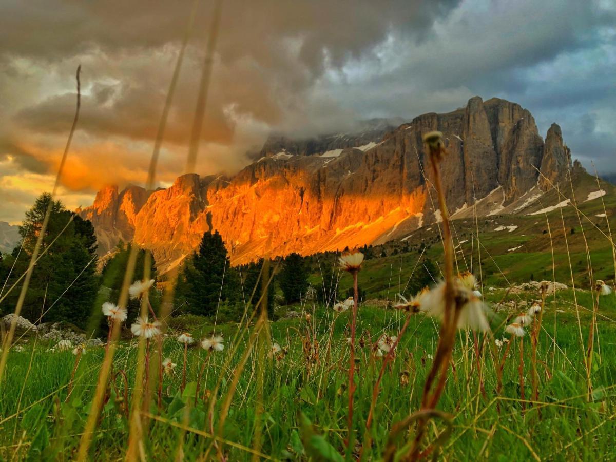 سيلفا دي فال جاردينا Passo Sella Dolomiti Mountain Resort المظهر الخارجي الصورة